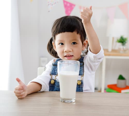 fungsi laktosa pada susu