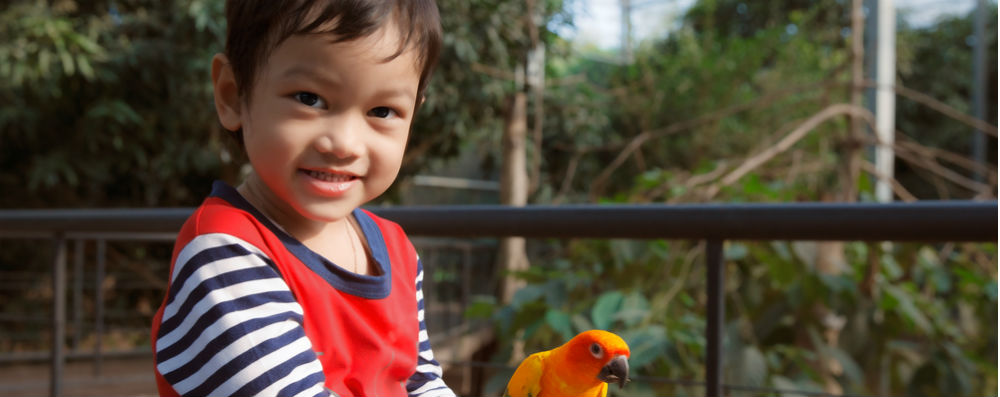 Belajar Mengenal Beragam Hewan di Kebun Binatang