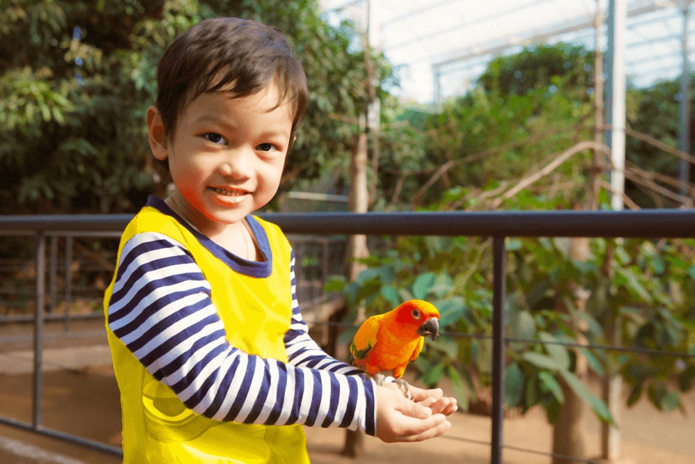 Pantau tumbuh kembang anak saat bermain bersama hewan