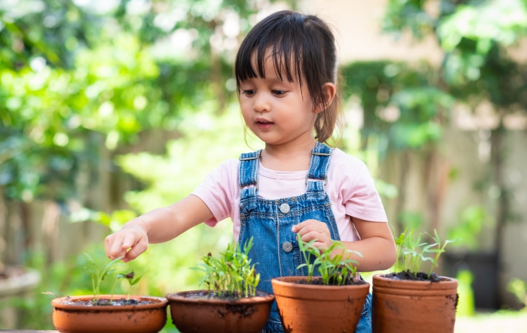 Perkembangan bahasa anak usia dini