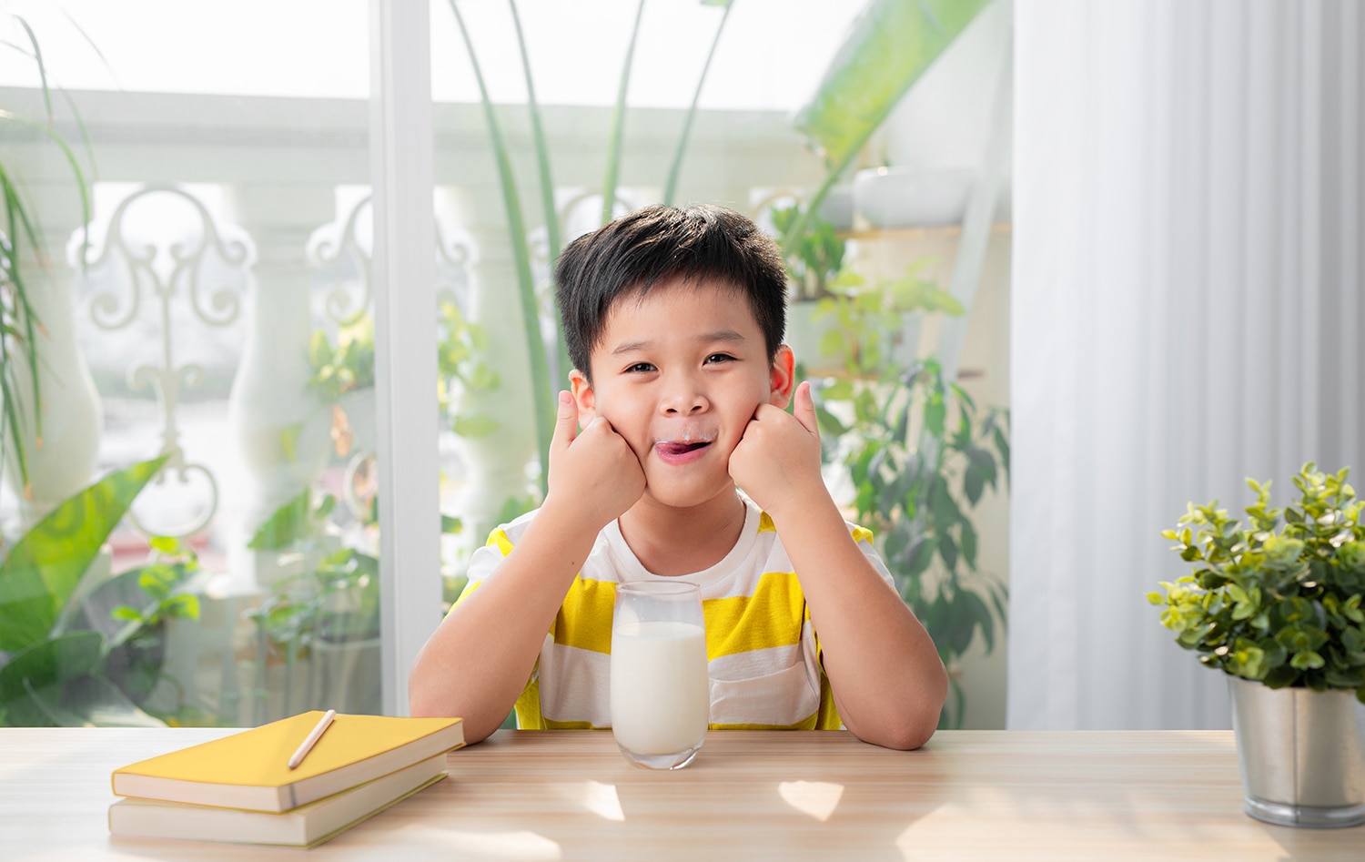 Cara Memilih Susu Anak 6 Tahun untuk Memasuki Masa Usia Sekolah