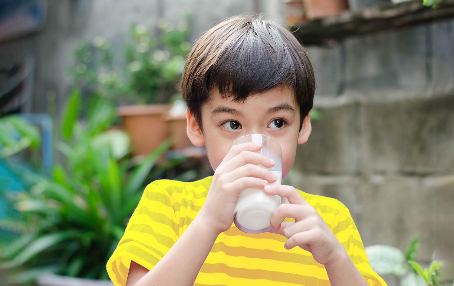 Ini Nutrisi dan Manfaat Dancow Full Cream Fortigro yang Dukung Anak Usia Sekolah